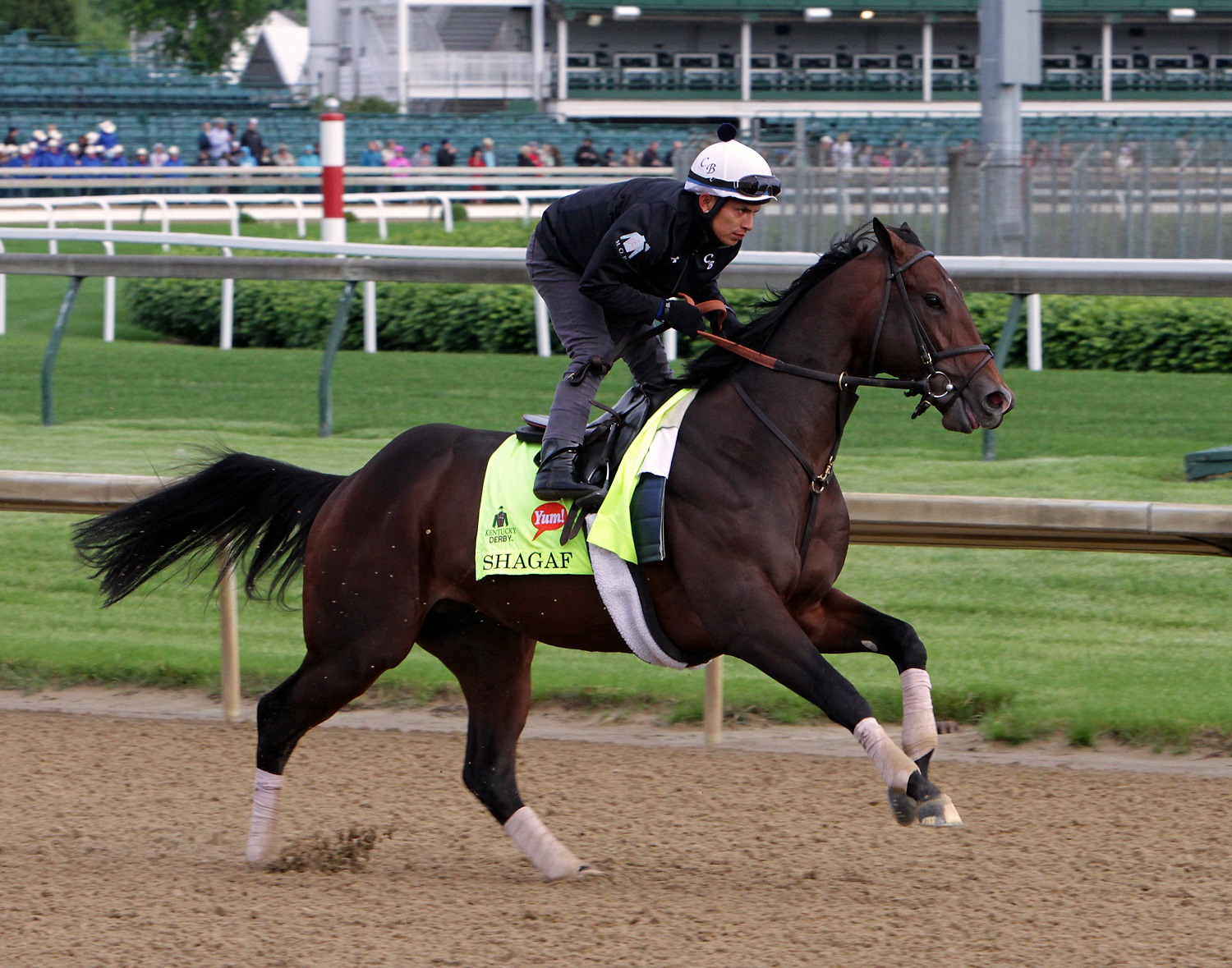 Kentucky Derby entrant Shagaf, ridden by Gian Cueva, gallops at Churchill Downs in Louisville, Ky., Thursday, May 5, 2016. The 142nd Kentucky Derby is Saturday, May 7. (AP Photo/Garry Jones)