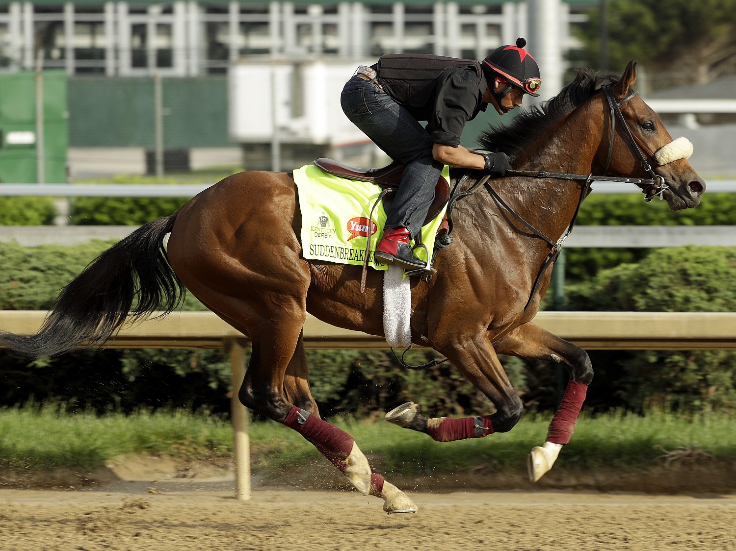 Exercise rider Ramiro Gorostieta rides Kentucky Derby hopeful Suddenbreakingnews during a workout at Churchill Downs Monday, May 2, 2016, in Louisville, Ky. The 142nd running of the Kentucky Derby is scheduled for Saturday, May 7. (AP Photo/Charlie Riedel)