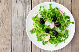 Salad with pea shoots, radishes and blackberries against rustic wood
