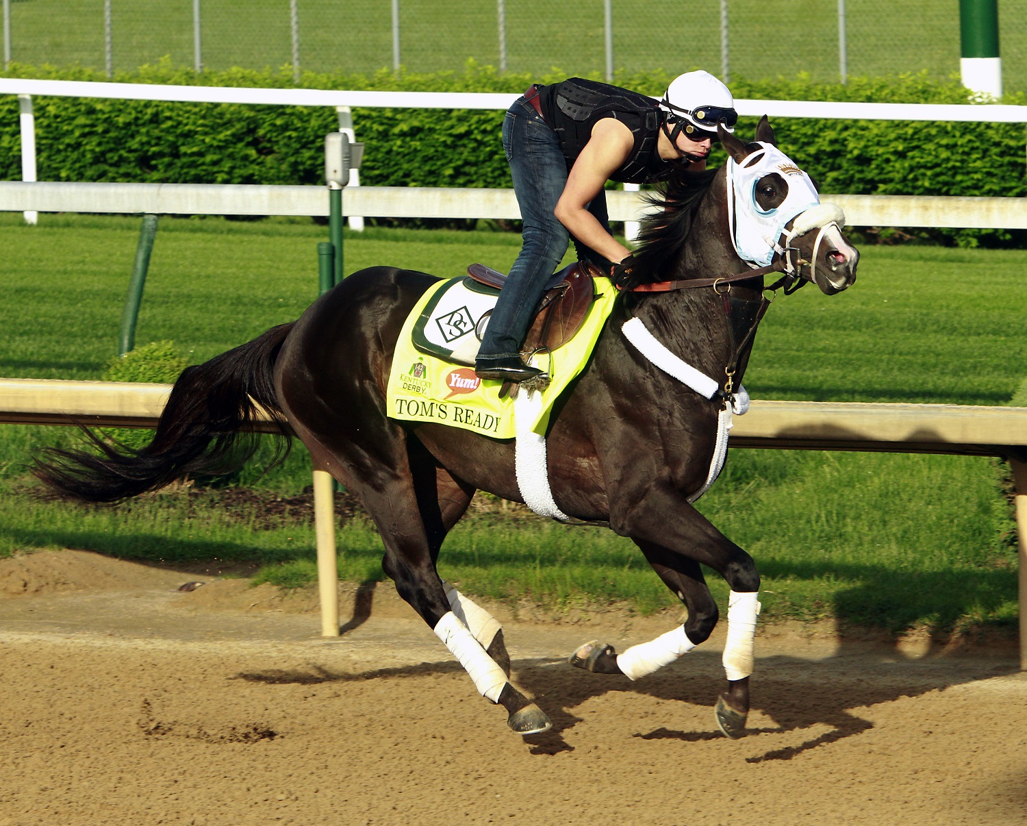 Kentucky Derby hopeful Tom's Ready, ridden by exercise rider Emerson Chavez, gallops at Churchill Downs in Louisville, Ky., Monday, May 2, 2016. The 142nd Kentucky Derby is Saturday, May 7. (AP Photo/Garry Jones)