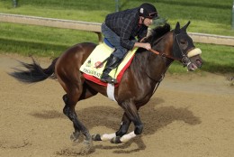 Exercise rider Andy Durnin rides Kentucky Derby entrant Trojan Nation during a workout at Churchill Downs Thursday, May 5, 2016, in Louisville, Ky. The 142nd running of the Kentucky Derby is scheduled for Saturday, May 7. (AP Photo/Charlie Riedel)