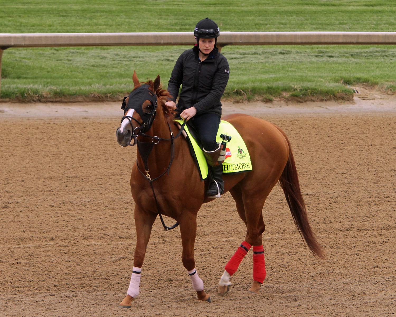 Kentucky Derby hopeful Whitmore, ridden by exercise rider Laura Moquett, is walked the wrong way on the track at Churchill Downs in Louisville, Ky., Tuesday, May 3, 2016. The 142nd Kentucky Derby is Saturday, May 7. (AP Photo/Garry Jones)