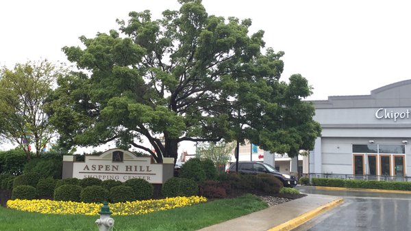 A woman is dead after a shooting at the Giant along Connecticut Avenue in Aspen Hill. (WTOP/Kristi King)