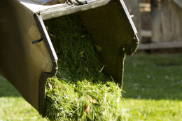 Dumping Grass Clippings