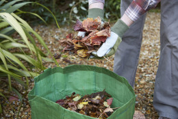 Man putting Fall leaves in garden waste bag