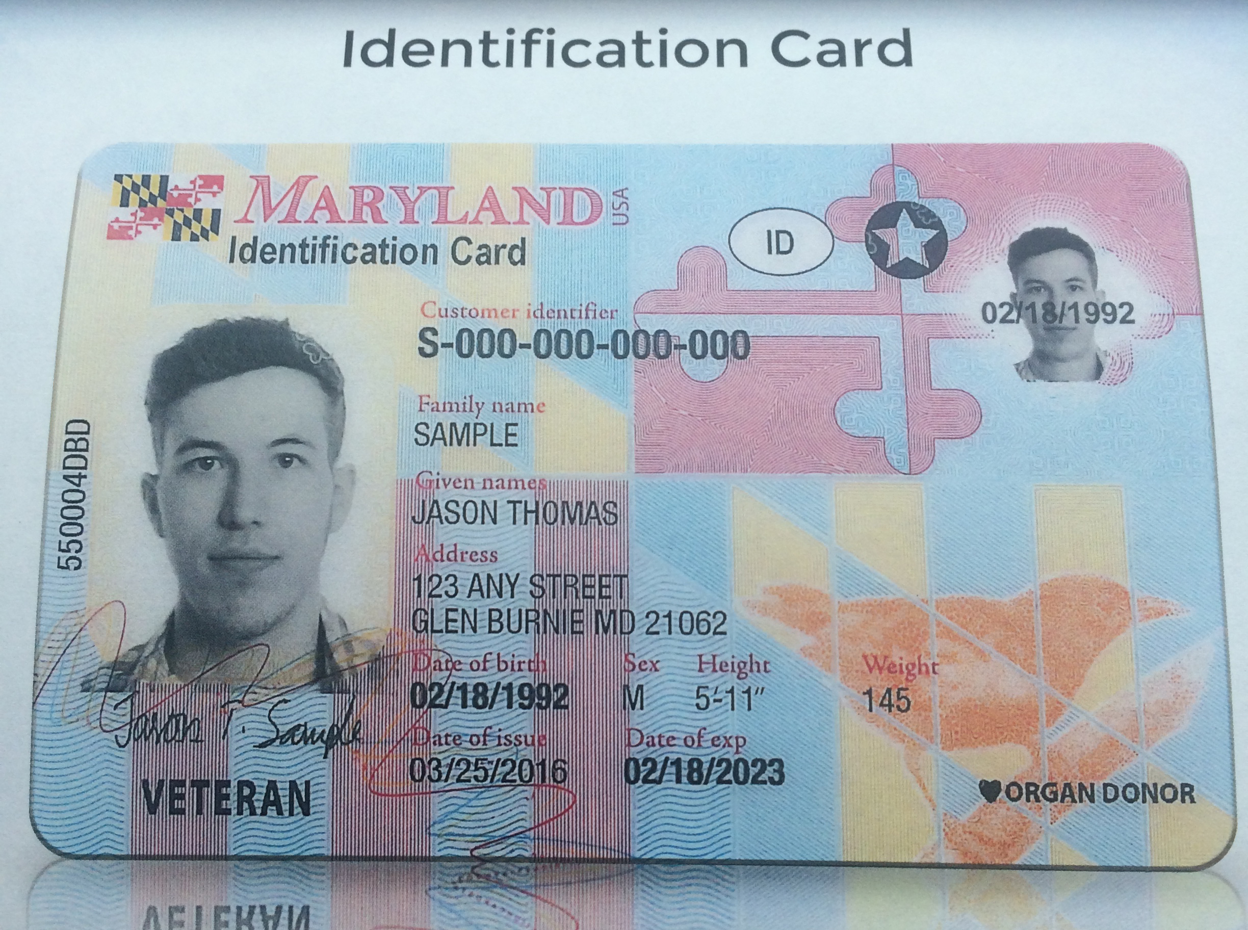 Free Maryland Drivers License Template Etpchicks