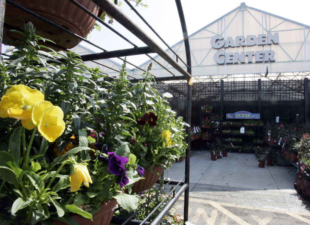 Survey Higher Than Average Prices Found At Top Local Nurseries Wtop