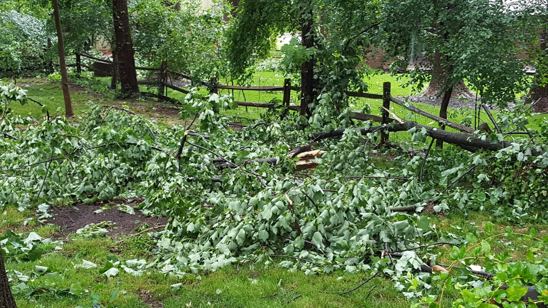 Storm damage in Columbia, Maryland on June 21, 2016. (Courtesy Alana Casanova Johnson)