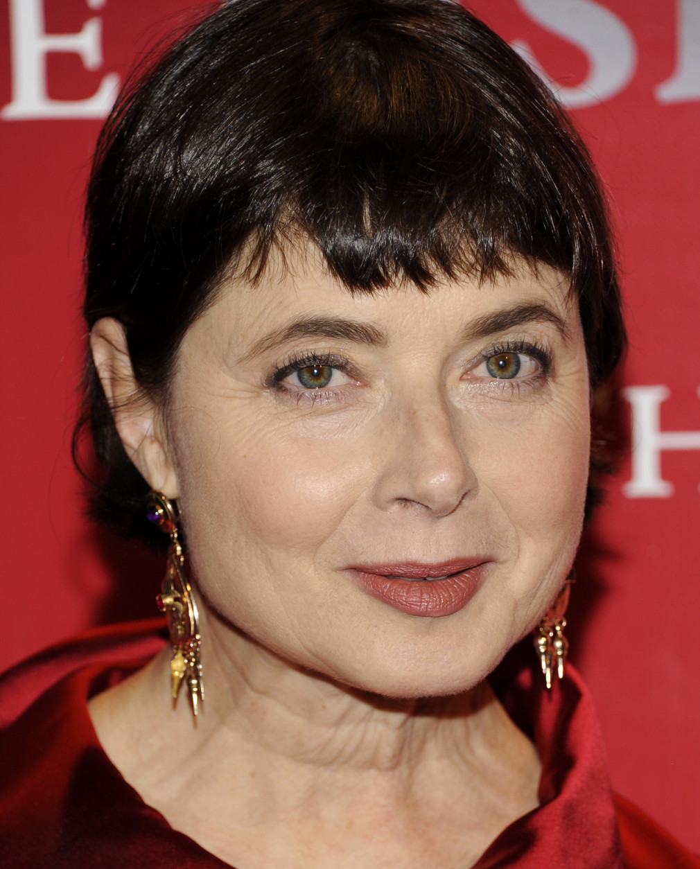 Actress Isabella Rossellini attends the Fashion Group International's 28th Annual Night of Stars "The Luminaries" at Cipriani Wall Street on Thursday, Oct. 27, 2011 in New York. (AP Photo/Evan Agostini)