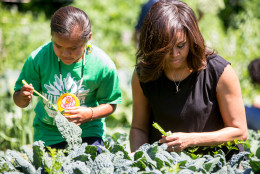 First lady Michelle Obama, joined by school children from across the country, harvest the White House Kitchen Garden, Monday, June 6, 2016, at the White House in Washington. (AP Photo/Andrew Harnik)