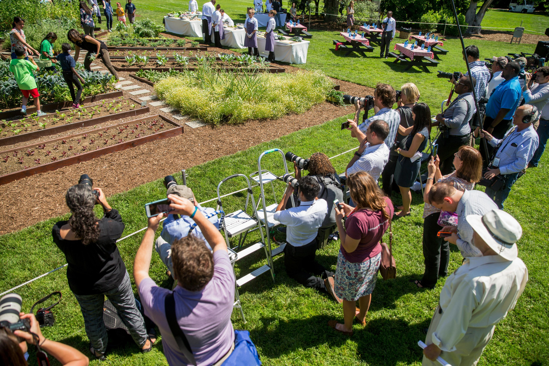 First lady Michelle Obama, at top left, joined by school children from across the country, harvest the White House Kitchen Garden, Monday, June 6, 2016, at the White House in Washington. (AP Photo/Andrew Harnik)