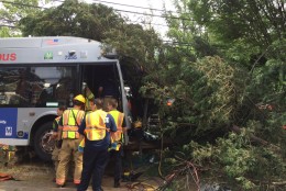 A Metrobus filled with passengers struck a tree on East-West Highway in Silver Spring Monday. (WTOP/Nick Iannelli)