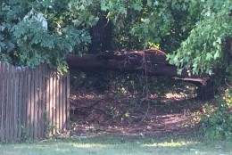 Damage seen in Fredericksburg, Virginia on June 16, 2016. (Courtesy Edie McCauley)