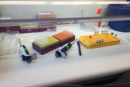 Equipment at the D.C. Public Health Laboratory's mosquito lab. (WTOP/Mike Murillo)