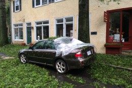Storm damage in Middleburg, Virginia, June 17, 2016. (WTOP/Nick Iannelli)