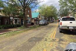 Leaves and branches on the streets of Middleburg post-storm on June 17, 2016. (Courtesy Brent Schnupp/@schnuppdawg77)