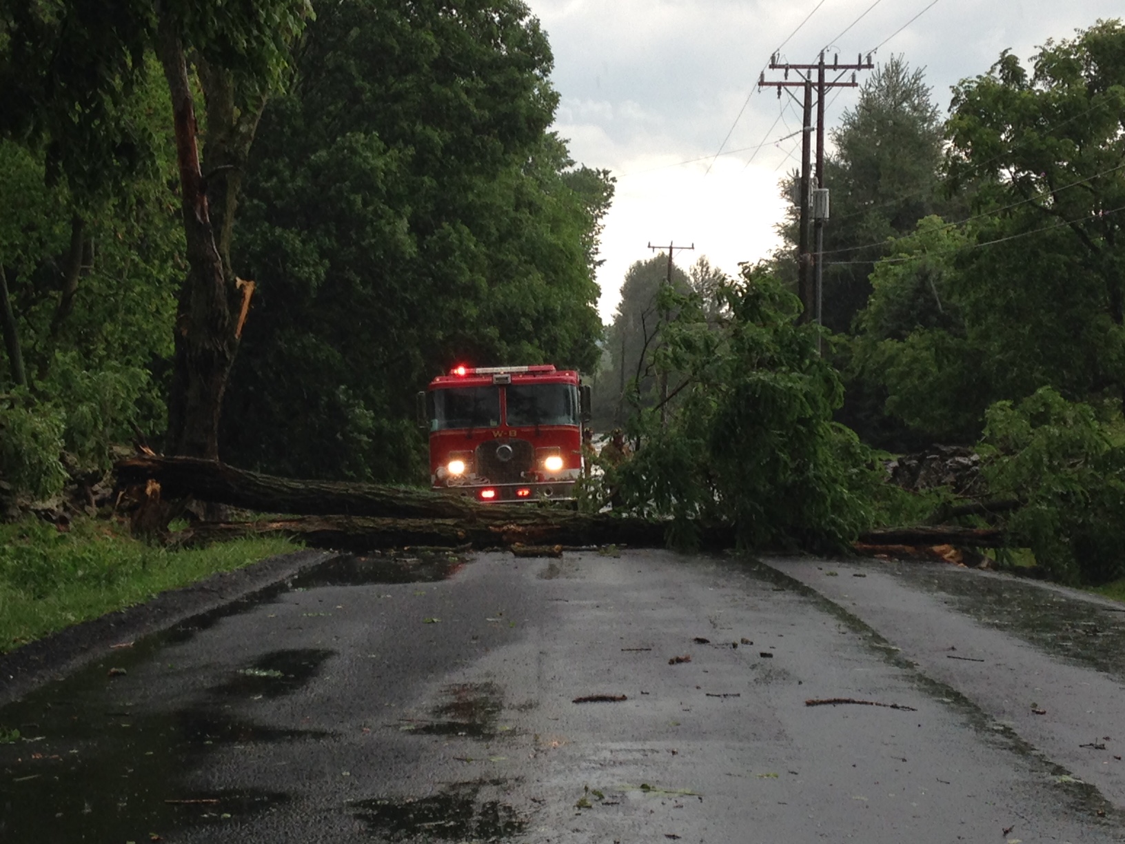 Storm damage in the area of Snickersville Turnpike on June 21, 2016. (Courtesy Jessie McQuillen)