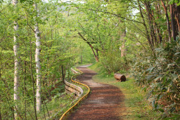 散策路、山道、森林コース、散歩コース、トレイルランなどの
