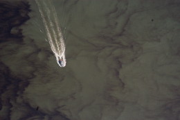 Polluting sediment clouds York River in Virginia in this photo taken in 2005. (Courtesy Bill Portlock/Chesapeake Bay Foundation)