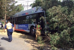 A Metrobus crashed into two trees off of East-West Highway Monday afternoon. (Courtesy Pete Piringer/Montgomery County Fire & Rescue)