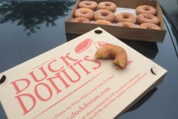 Cinnamon sugar doughnuts from Duck Donuts in Arlington, Virginia -- one of the stops on Neal Augenstein's National Doughnut Day journey. (Neal Augenstein/WTOP)