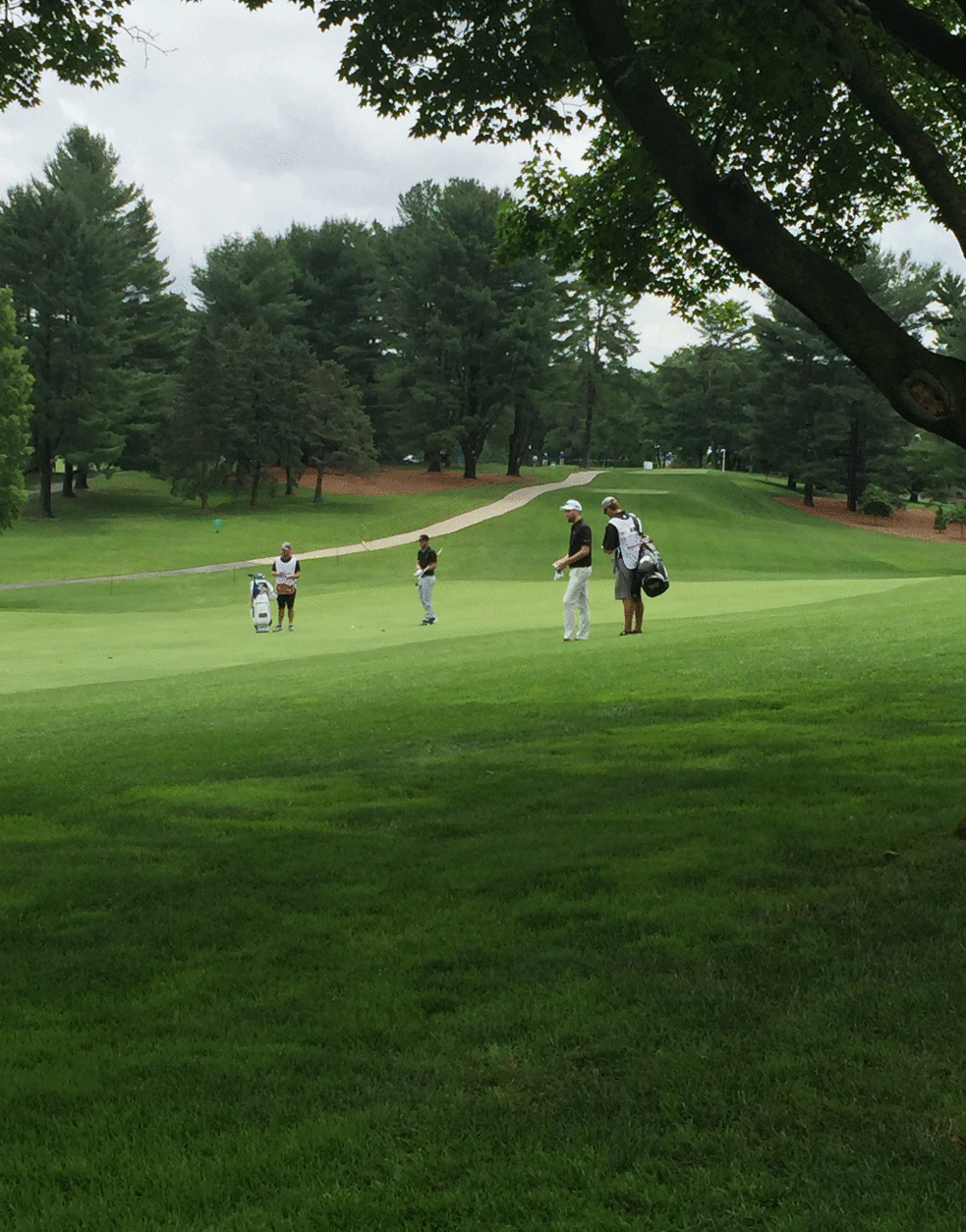 Golfers on the course on Thursday, June 23, 2016. (Courtesy Cody House)
