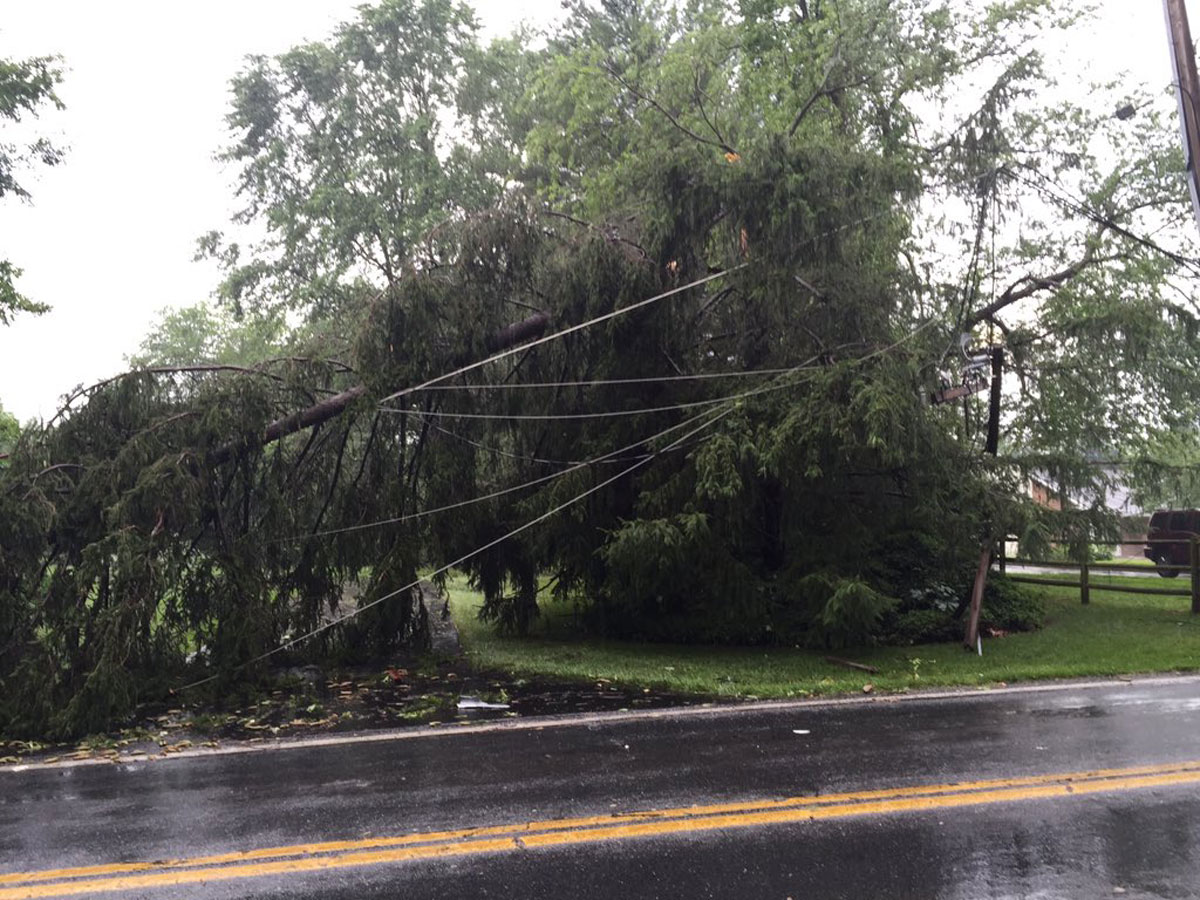 Snapped utility pole in Howard County. (WTOP/Michelle Basch)