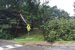 A utility pole snapped in half by a tree in Howard County. (WTOP/Michelle Basch)