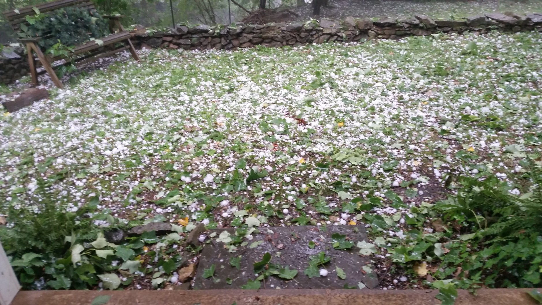 Hail in Middleburg, Virginia on June 16, 2016. (Image sent in to talkback@WTOP.com)