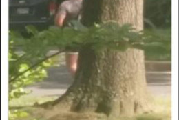 The suspect in a series of indecent exposure incidents is seen on New Mark Esplanade. (Courtesy Montgomery County Police Department)