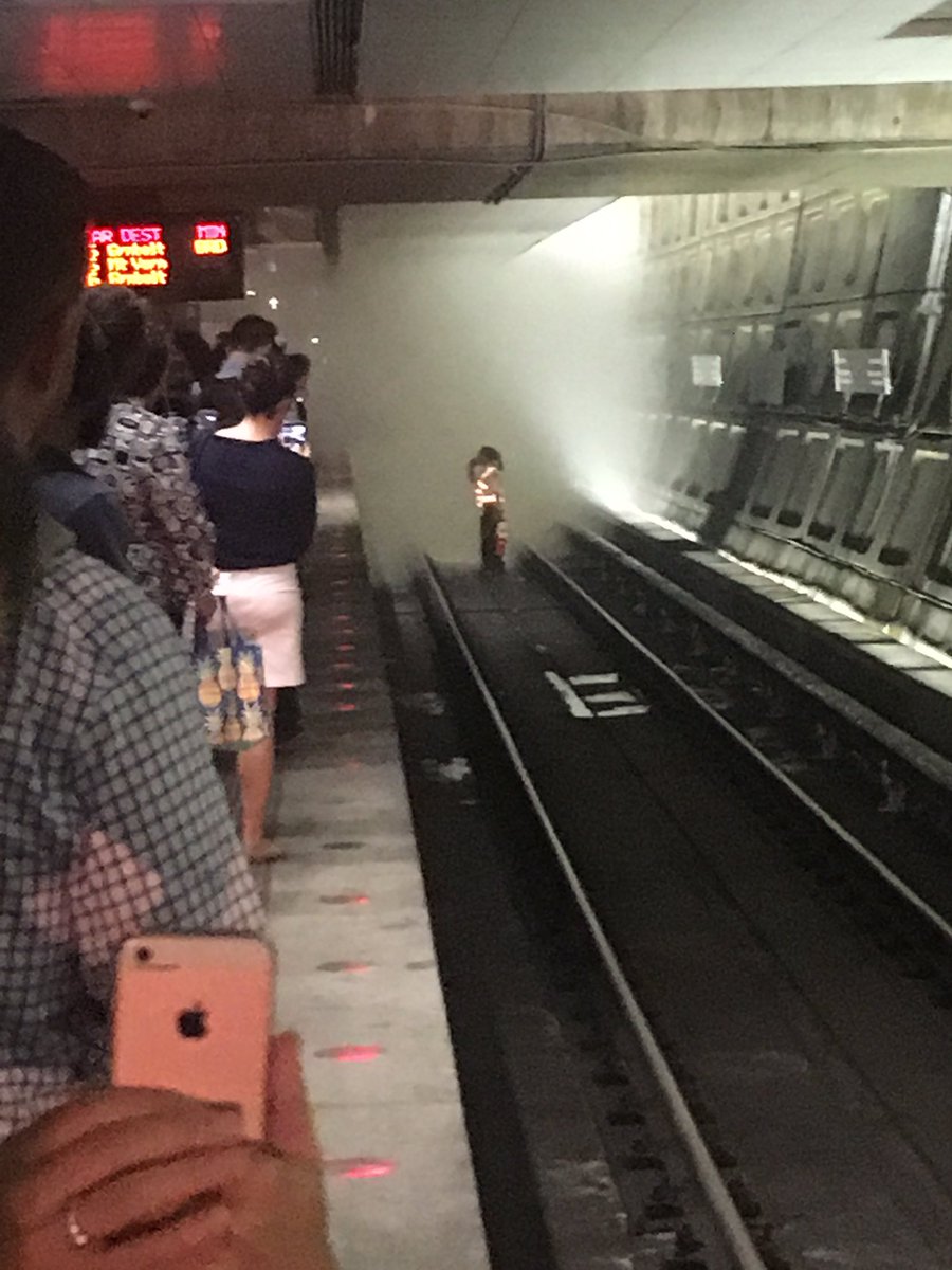 The small fire on the tracks happened on the lower level and affects the Green and Yellow lines. (Courtesy Megan Cagle)