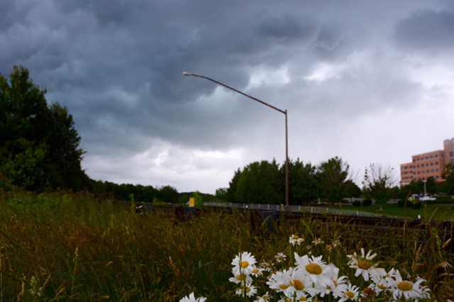 Dark clouds gather in Montgomery County, Md. (WTOP/Dave Dildine)