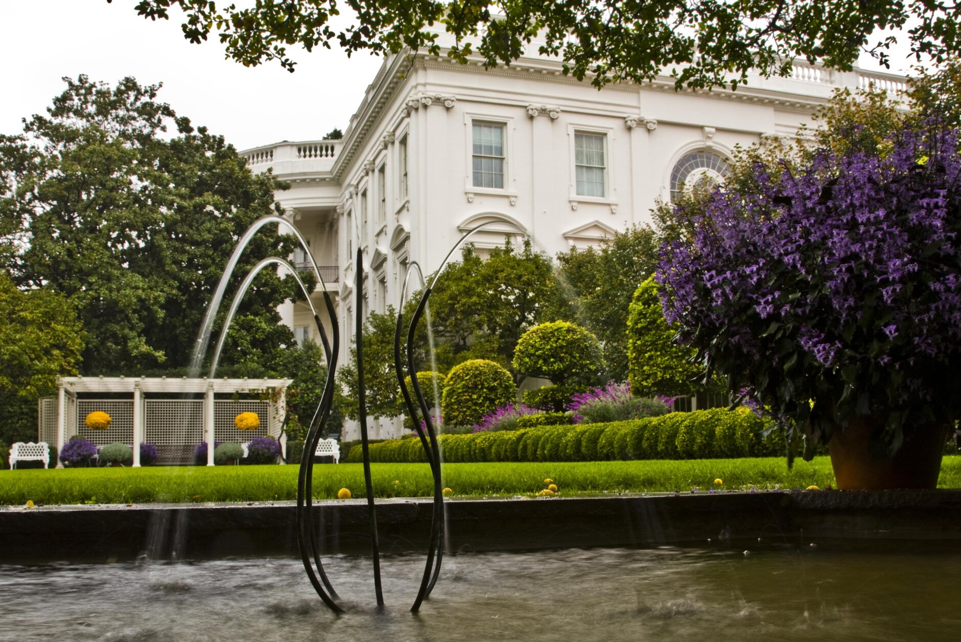 A view of the White House gardens