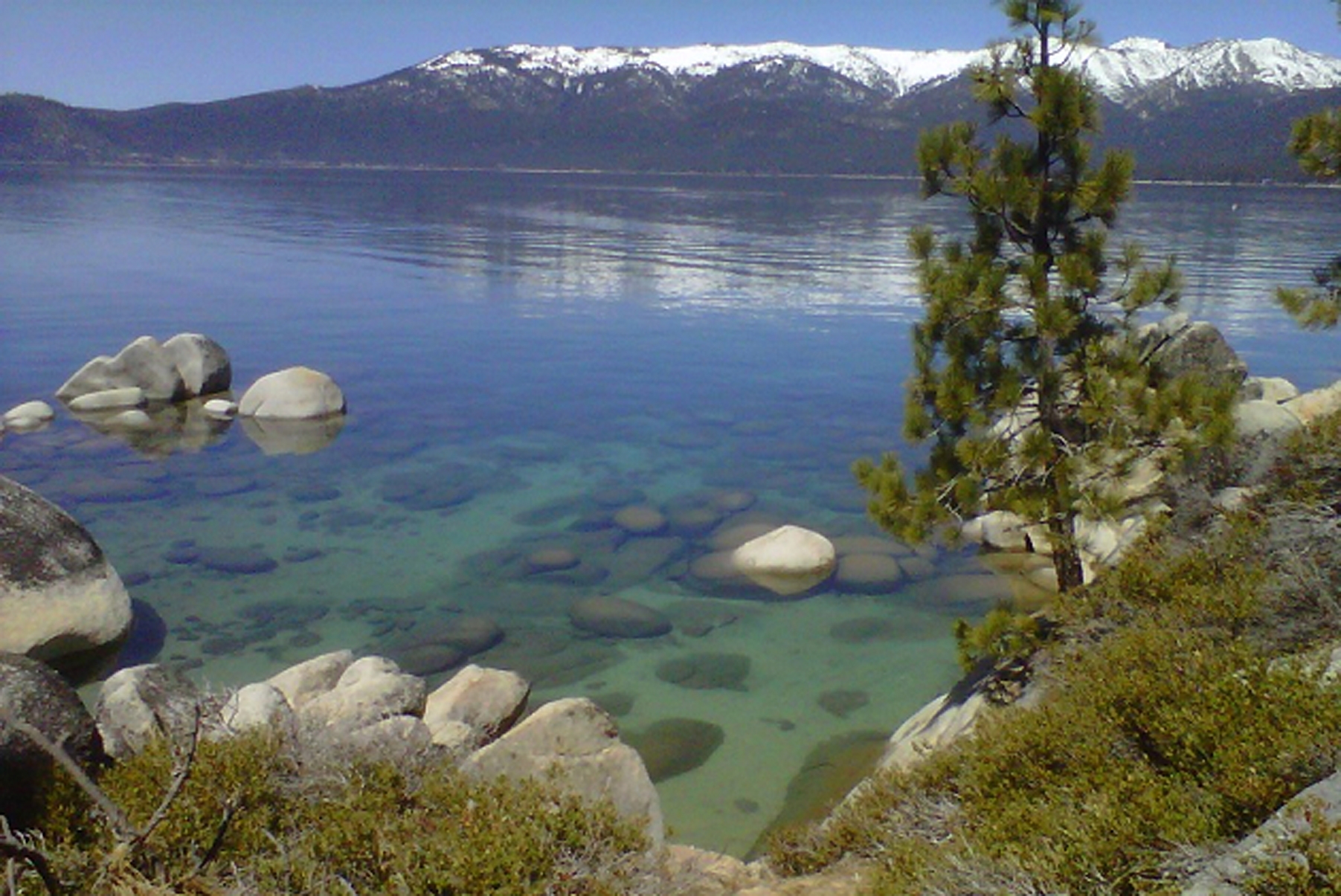 This April 12, 2012 photo shows the clarity of Lake Tahoe, Nev. Lake clarity averaged 75.3 feet in 2012, an improvement of 6.4 feet from the year before, the UC Davis Environmental Research Center said Wednesday, Feb. 27, 2013. It's the best its been since 2002 when the 10-inch white place used to measure clarity was visible as deep as 78 feet in a lake where the clarity extended more than 100 feet down in 1968. (AP Photo/Scott Sonner)