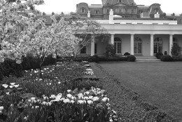 Looking across the Garden on the south side looking west to the Presidents office wing is the spot where most of the roses are left in Washington on April 19, 1963. (AP Photo/JR)