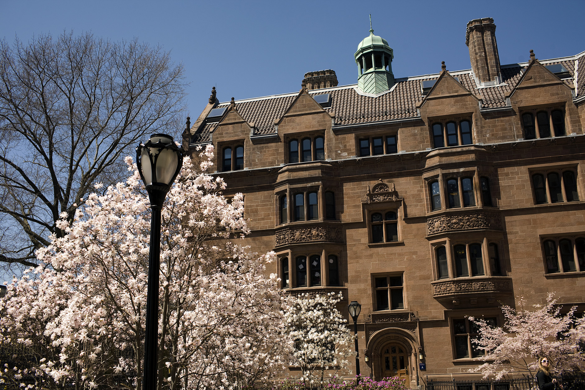 NEW HAVEN, CT - APRIL 16:  Trees bloom on the campus of Yale University April 16, 2008 in New Haven, Connecticut. New Haven boasts many educational and cultural offerings that attract visitors to the city.    (Photo by Christopher Capozziello/Getty Images)
