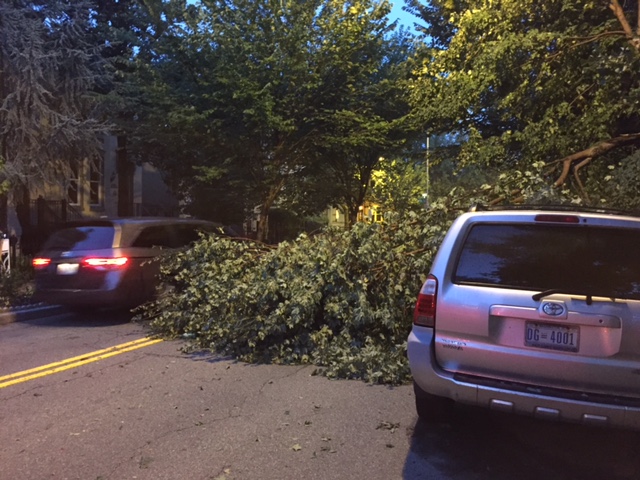 Lanes were blocked on Constitution Avenue after trees had fallen from the July 19, 2016 storm. (WTOP/Mitchell Miller)