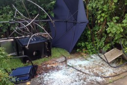 The morning after the July 19 storm in a backyard of a Bethesda, Maryland, home. (WTOP/Debbie Feinstein)