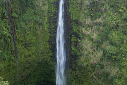 This photo shows Akaka Falls in the Akaka Falls State Park of Hawaii. (Getty Images/iStockphoto/Left_Coast_Photographer)
