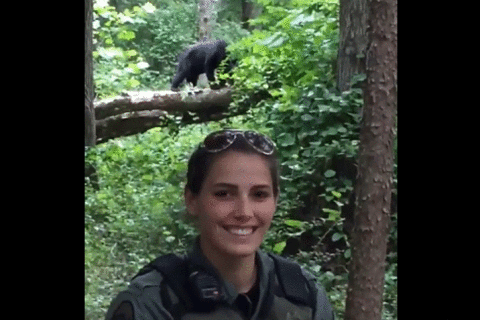 Md. police post video of officer with bear
