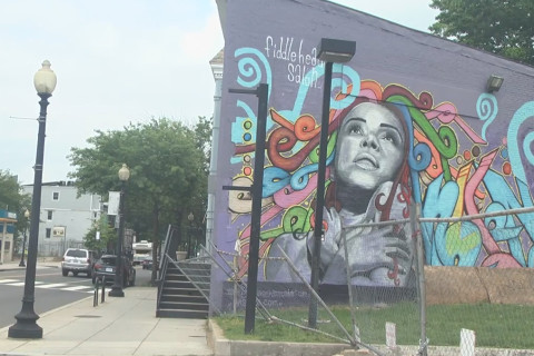 Art, artists and atmosphere that inspires DC’s murals (Video)