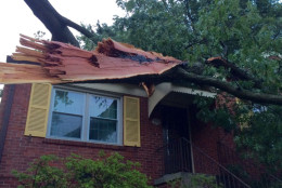 Here's a close up of the Silver Spring home and the tree that fell on it after the July 19, 2016 storm. (WTOP/Nick Iannelli)