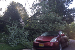 A tree takes down power lines onto a car at Robin Road and Tenbrook Drive in Silver Spring, Maryland. (WTOP/Nick Iannelli)