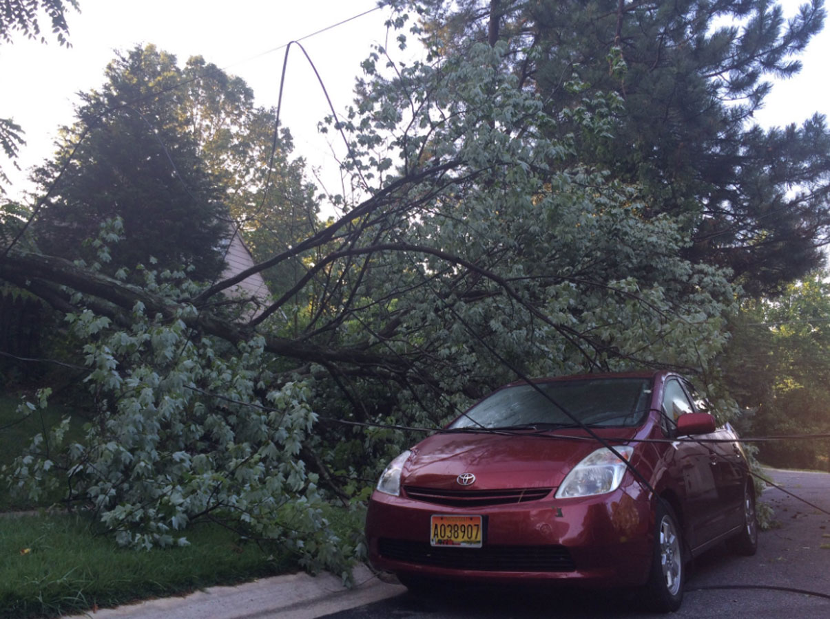 A tree takes down power lines onto a car at Robin Road and Tenbrook Drive in Silver Spring, Maryland. (WTOP/Nick Iannelli)
