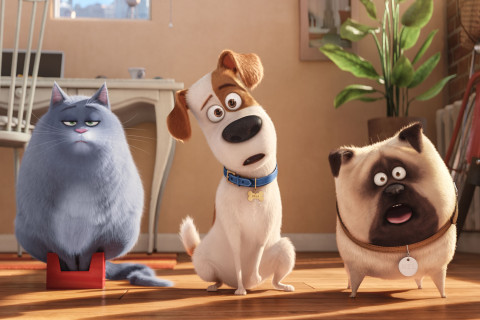 Review: ‘The Secret Life of Pets’ is ‘Toy Story’ unleashed