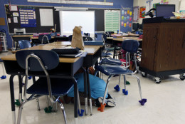 Students participate in an earthquake drill at the Thomas Jefferson Elementary School in Louisa, Va., Thursday, Aug. 23, 2012. The school is undergoing repairs from last years earthquake. (AP Photo/Steve Helber)