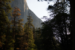 YOSEMITE NTL PARK, CA - JUNE 18: El Capitan above the Merced River on June 18, 2016 in Yosemite National Park, California. President Barack Obama spoke to a crowd at Yosemite marking the centennial of the National Park Service which began on August 25, 1916. (Photo by David Calvert/Getty Images)