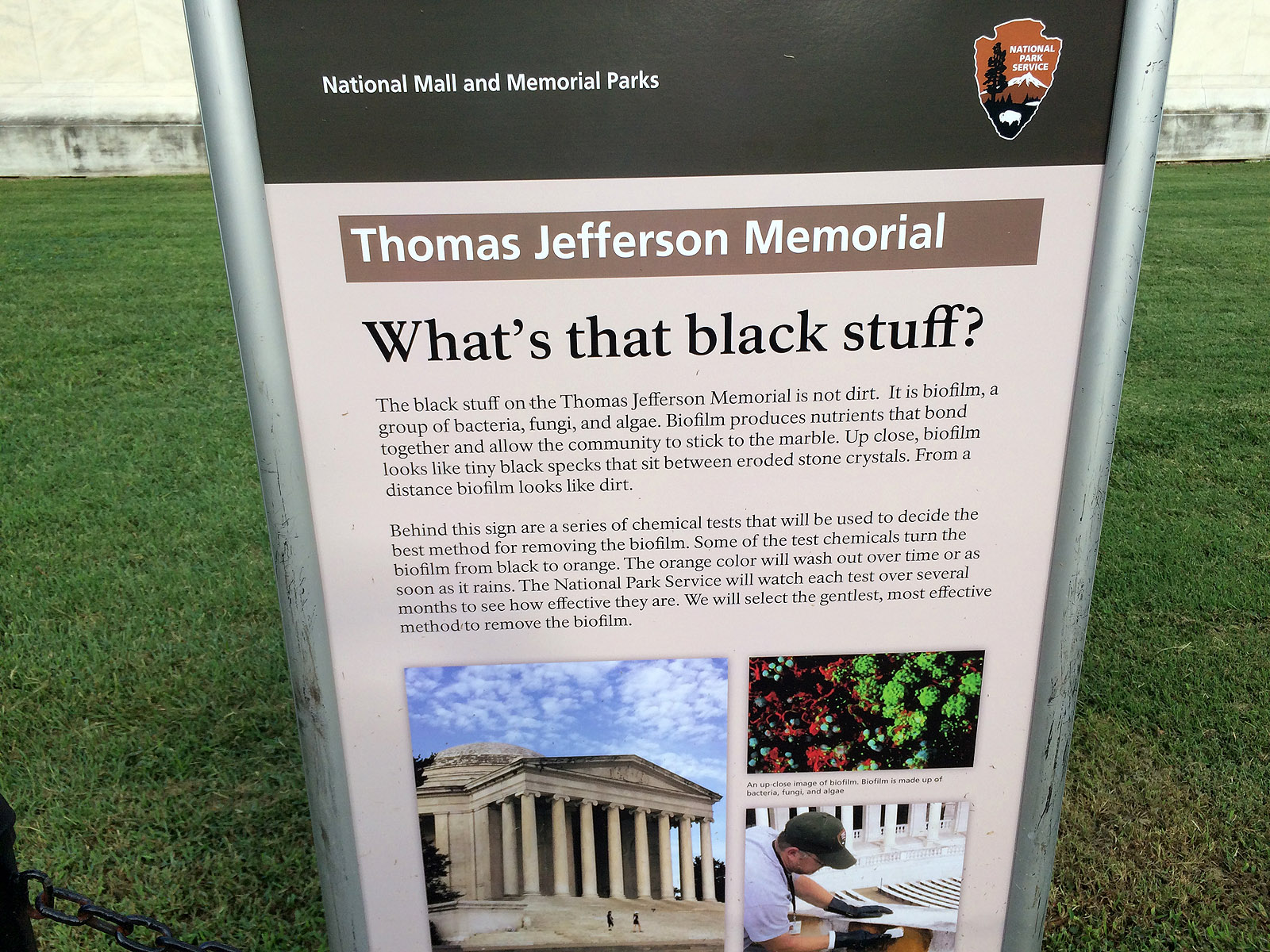 The National Park Service has posted this sign outside the Jefferson Memorial last August explaining to the public that a microbial substance is growing on the 73-year-old landmark, turning the marble black. (WTOP/Nick Iannelli)