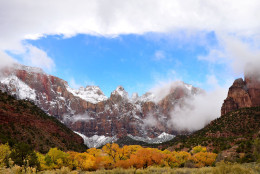 Autumn hits Oak Creek at Zion National Park in Utah. (Courtesy flickr, Cadence C. Cook, National Parks Service)