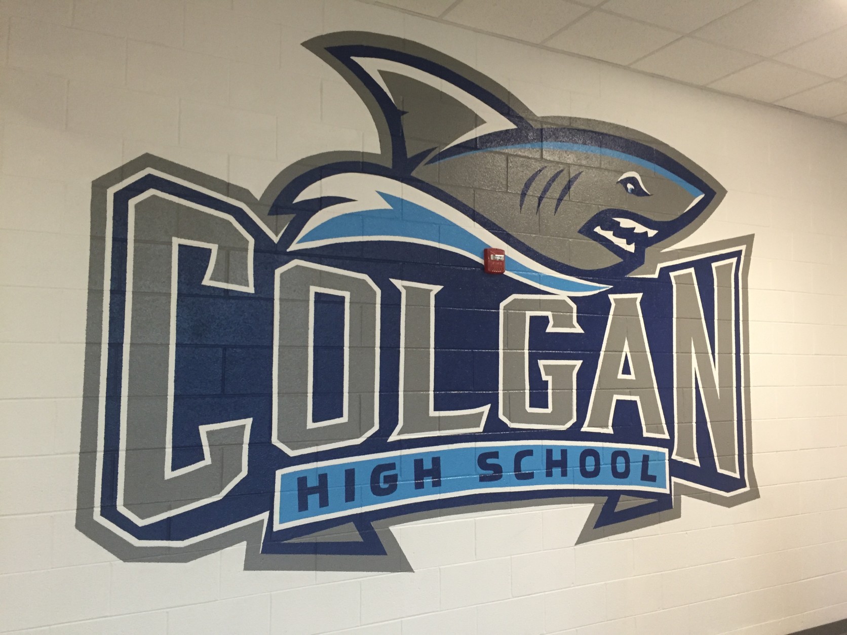 The shark is Charles J. Colgan High Schools mascot. (Courtesy Colgan High School)